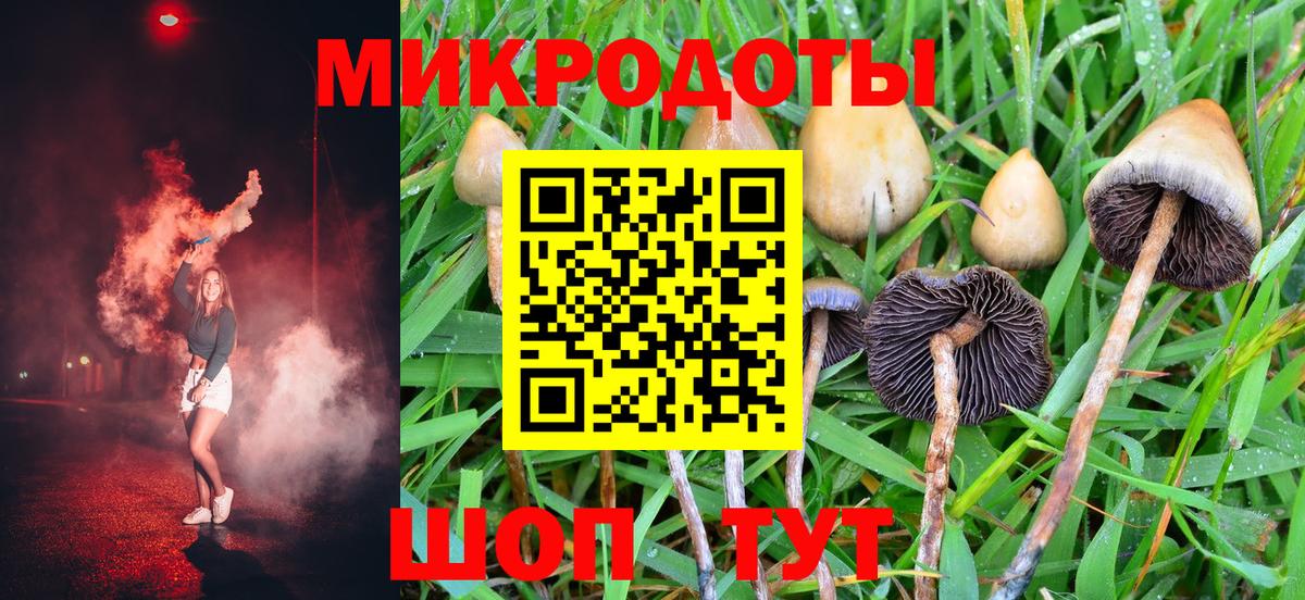 Галлюциногенные грибы ЛСД  Вход с VPN  Кингисепп  Псилоцибиновые грибы ЛСД 
