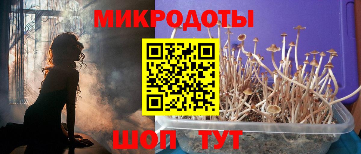 Псилоцибиновые грибы ЛСД Кингисепп